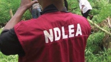 NDLEA arrested 11 Filipinos in Apapa port
