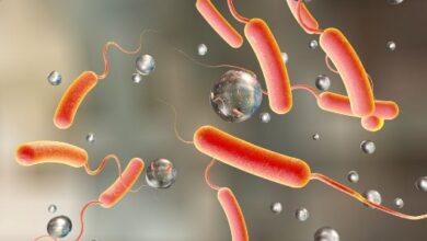 Lebanon records 2,722 cholera cases, as WHO donates 600 000 doses of vaccine
