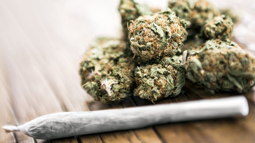 Driver Bags 10 Years Imprisonment for Transporting Cannabis