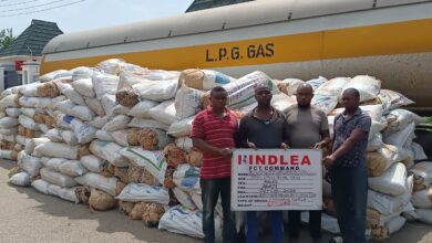 NDLEA Intercepts 4,752kg Cannabis Concealed in Gas Tanker