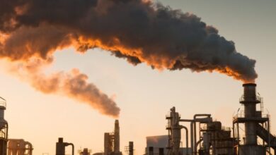 Nigerian Activists, 49 Other Countries Kick Off ‘Global Fight to End Fossil Fuels’
