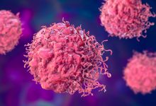 World Cancer Day 2026: Tackle Cancer by Fixing Nigeria’s Food System, CAPPA Urges Govt
