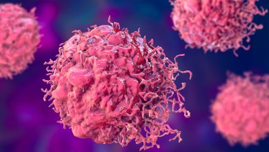 World Cancer Day 2026: Tackle Cancer by Fixing Nigeria’s Food System, CAPPA Urges Govt