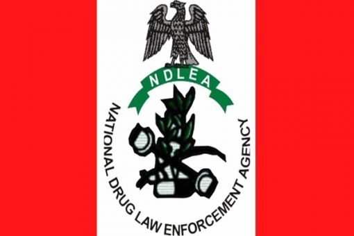 NDLEA's media trial And Valentine Ilomuanya - A Case of conviction in public court