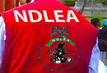 NDLEA Charges 3 Mexicans, 7 Nigerians Over Alleged 2,419kg Methamphetamine Laboratory In Ogun Forest