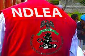 NDLEA Charges 3 Mexicans, 7 Nigerians Over Alleged 2,419kg Methamphetamine Laboratory In Ogun Forest
