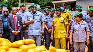 Ogun I Customs Command Seizes N2.47bn Worth of Contraband, 2026 Range Rover, Cannabis Sativa